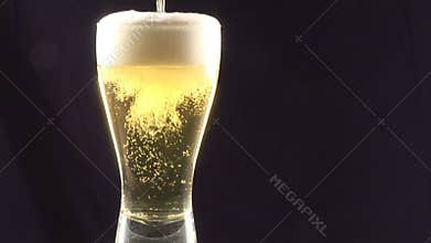 Stock Footage Pouring Beer Into a Glass