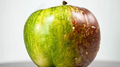 Zoom on a green apple that is rotten on one side
