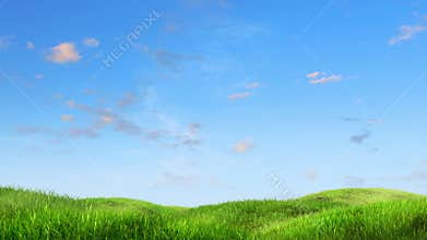 Meadow and sky background