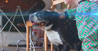 Preschool boy entering dining area and crouching, petting dog and raising hand showcasing pet care