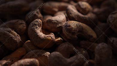 Raw cashew nuts lit by beam of sunlight on dark background