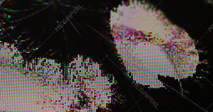 Damaged matrix defect display spread black liquid