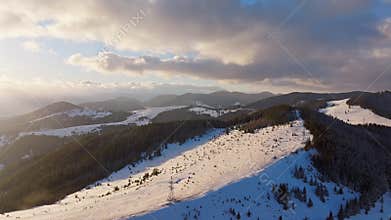 Snow forest winter storm blizzard frost wild nature wood tree