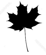 Maple leaf silhouette