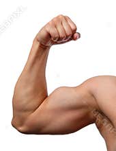 Close up of man's arm