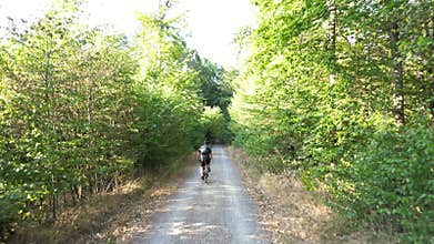 Drone following a German guy riding his bike through the forest on a beaten forest track in summer