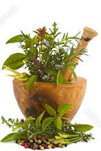Herbs