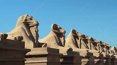 Statues of ancient sphinxes at the entrance to Karnak