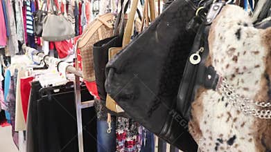 Thrift shop with different types of clothing and accessories