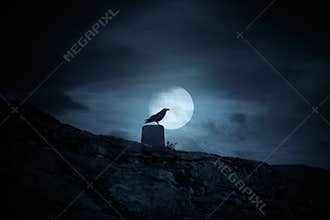 Full moon crow