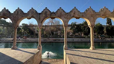 Balikligol, Pool of Abraham in Sanliurfa, Turkiye