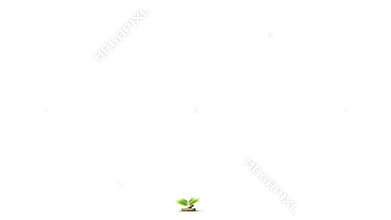 Palm Tree grow activity timelapse