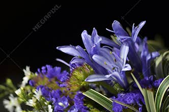 Purple Wedding Bouquet