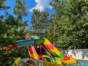 Colorful waterslides emerging from green trees at water park