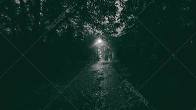 Apparition of a female ghost in a foggy forest