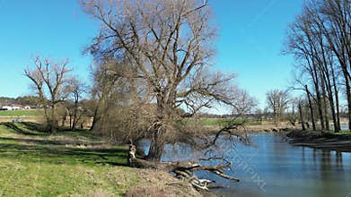 Tributary of the Danube at the beginning of spring