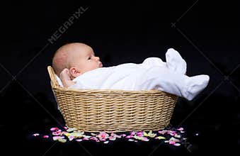 Newborn baby in a basket with flower petals