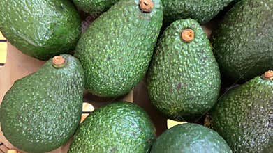 Avocados arranged in cardboard crates