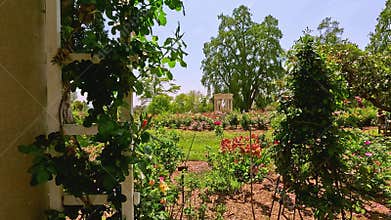 footage of a gorgeous landscape with lush green trees, grass and colorful flowers at Huntington Library and Botanical Gardens in