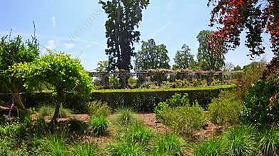 footage of a gorgeous landscape with lush green trees, grass and colorful flowers at Huntington Library and Botanical Gardens in