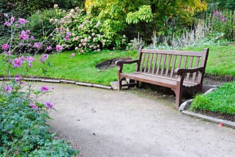 Wooden bench on a path in a beautiful garden park.