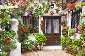 Flowers Decoration of Vintage Courtyard, Spain, Europe