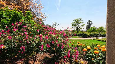 footage of a gorgeous landscape with lush green trees, grass and colorful flowers at Huntington Library and Botanical Gardens