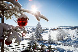 Winter