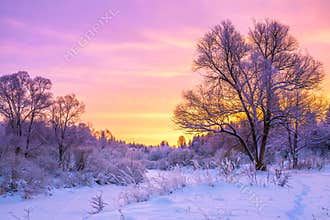 Winter landscape with sunset and the forest