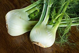 Fennel