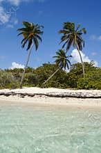Plage de Bois-Jolan in Sainte-Anne, Guadeloupe