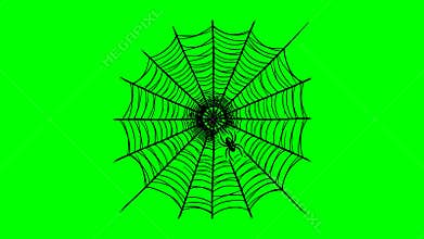 black fill hand drawn style spider web insect nature animation