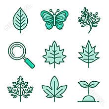 Outline Icons of Biology Items Show Elements of Nature Art Using Leaf, Butterfly, Seedling and Magnifying Glass in Green