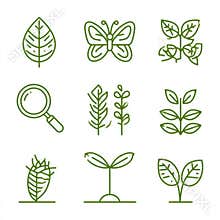 Outline Icons of Biology Items Including Leaf, Butterfly, Magnifying Glass, and Seedling on White Background With Thin