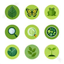 Flat Icon Set Featuring Biology Class Items Like Leaf, Butterfly, Frog, Magnifying Glass, Cell Diagram and Plant