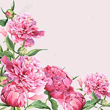 Pink watercolor peonies vintage greeting card