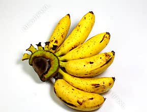 Banana bunch