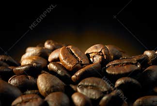 Coffee bean