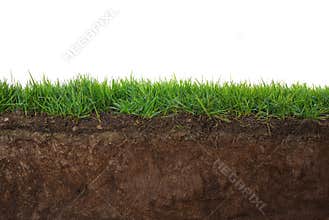 Grass and soil