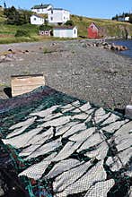 Fish drying on the beach at Trinity East, Newfoundland