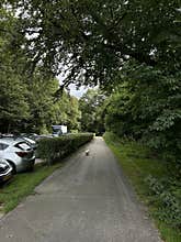 Parking Lot with Cars Surrounded by Trees and Woodland in Amsterdam Forest