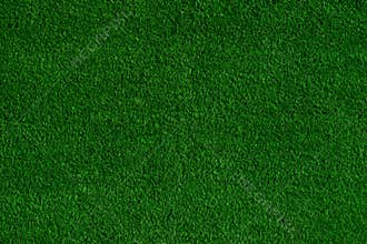 Green grass field background, texture, pattern
