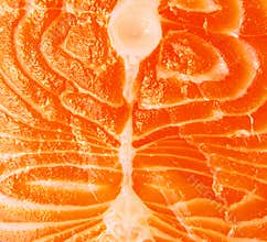 Closeup of salmon meat