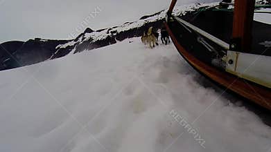 Dog sled ride on toboggan at Alaska glacier