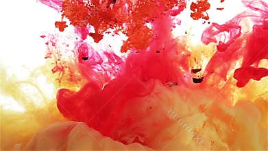 Color ink drop in water. yellow. red, orange, violet color spread