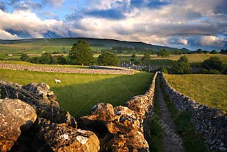 Walled Yorkshire path