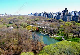 View of Central Park and New York City