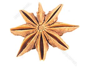 Anise star
