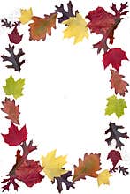 Autumn Leaf Frame