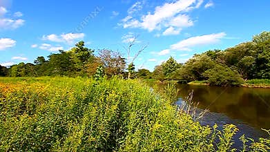 Kishwaukee River and Chirping Birds